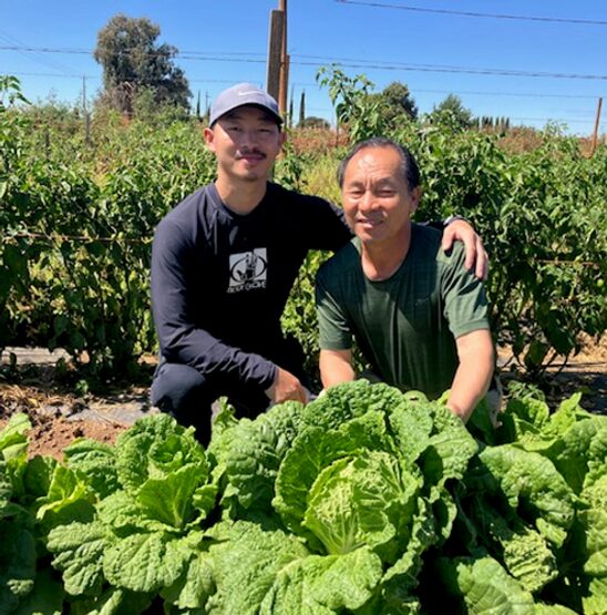 Two growers kneeling behind a bed of cabbage in the field